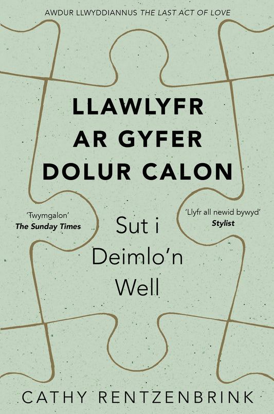 Llawlyfr ar Gyfer Dolur Calon