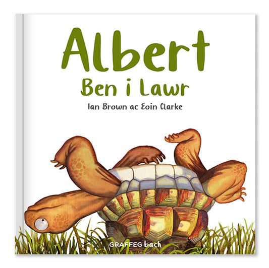 Albert the Tortoise 4 for £20