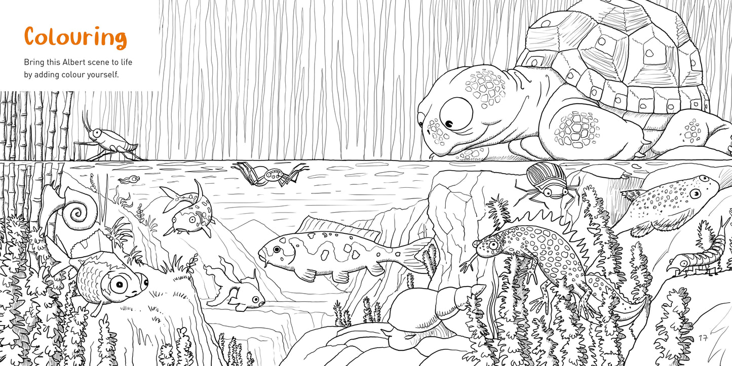 Albert: Puzzles and Colouring