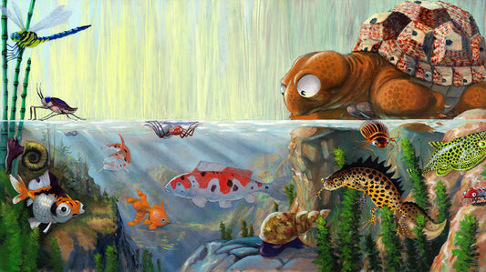 Albert and the Pond