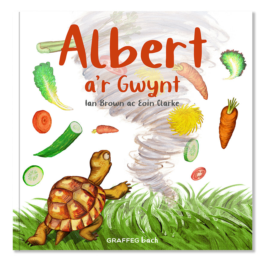 Albert the Tortoise 4 for £20