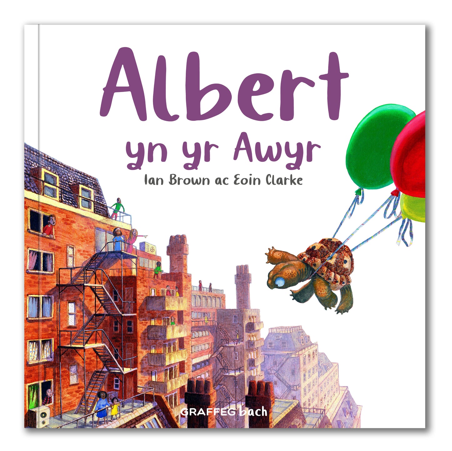 Albert the Tortoise 4 for £20