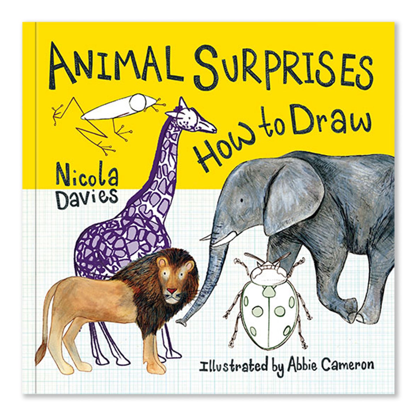 Animal Surprises 4 for £20