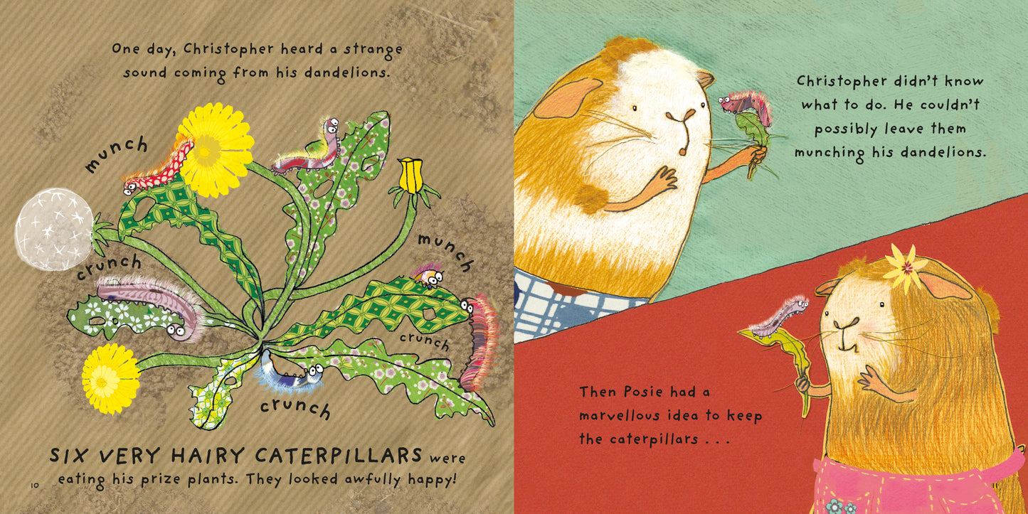 Christopher’s Caterpillars