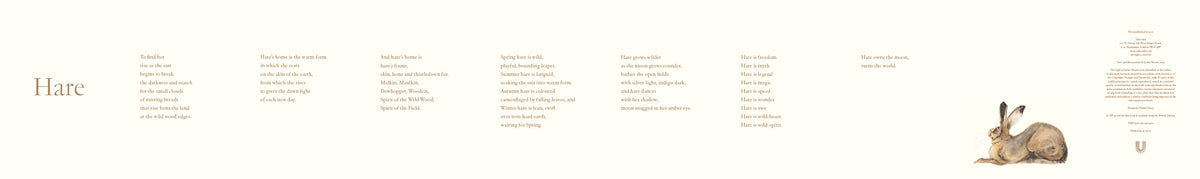 Accordion Book: Hare