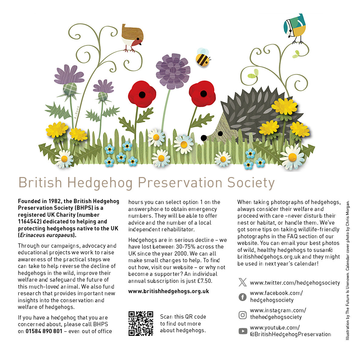 The Hedgehog Calendar 2026