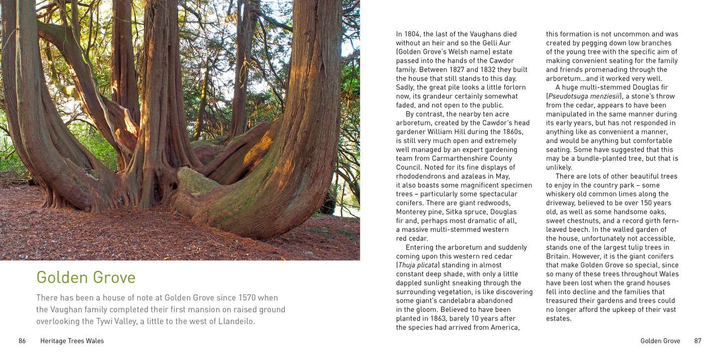 Heritage Trees Wales Compact