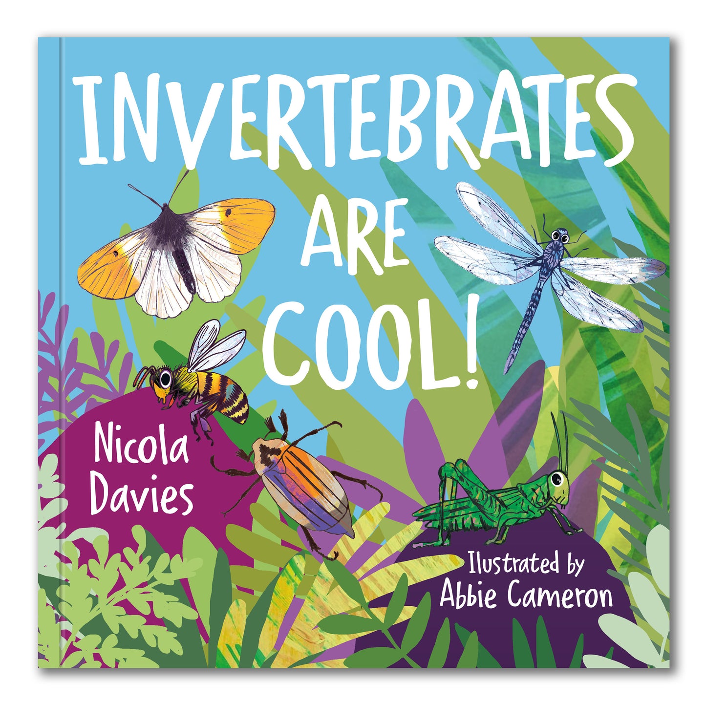 LANGUAGE, LITERACY & COMMUNICATION - KS1 - Pack 2