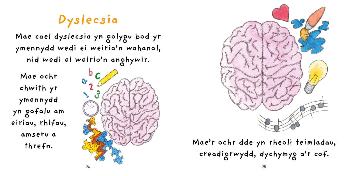Niwronau a Dyslecsia