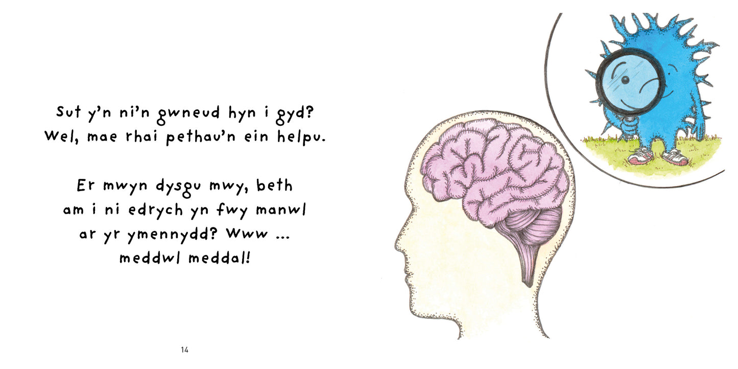 Niwronau ac Epilepsi