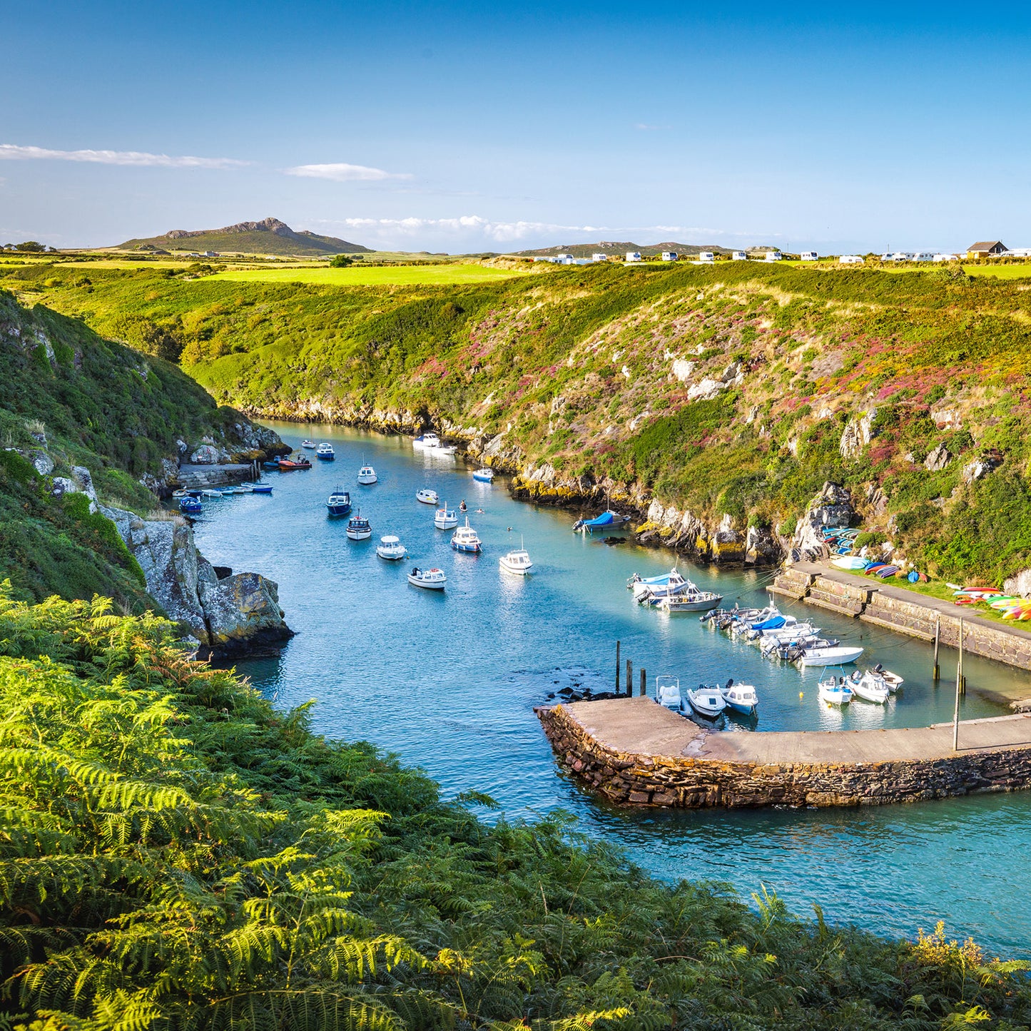 Pembrokeshire Calendar 2026