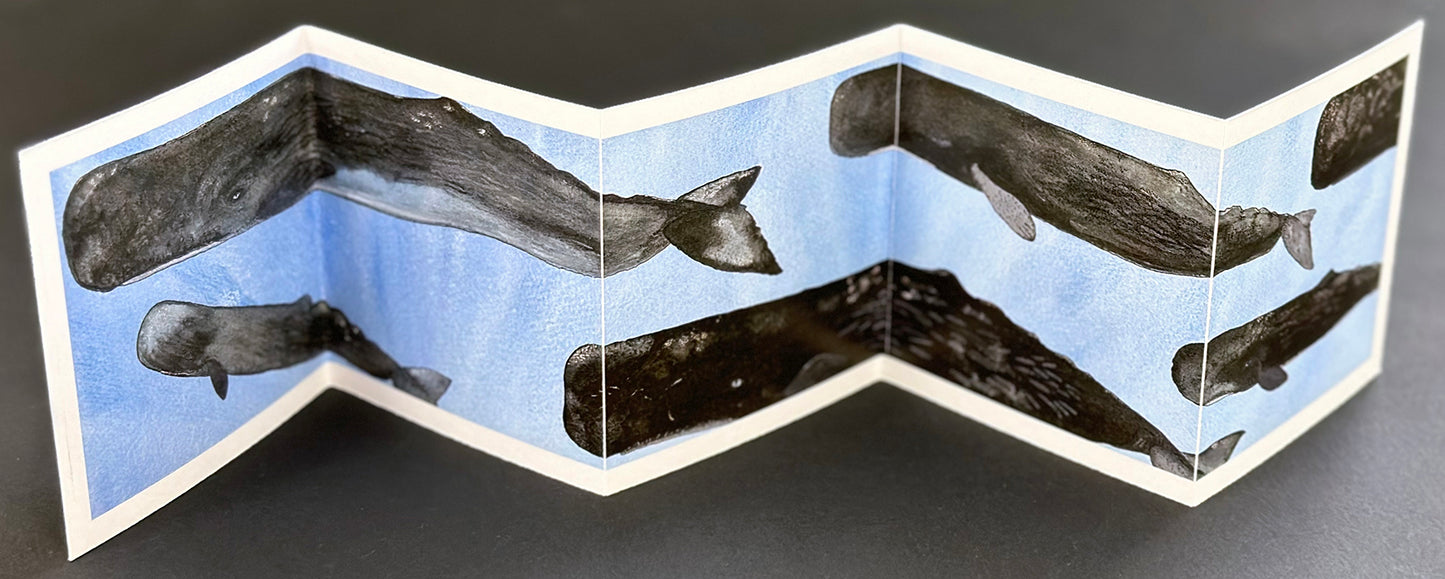 Blue Heart Concertina Cards