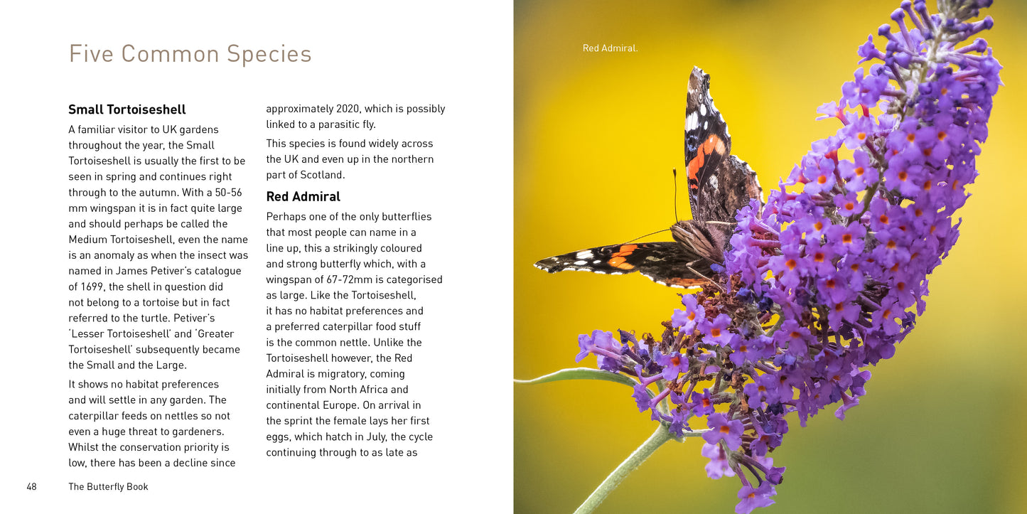 The Butterfly Book