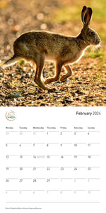 The Hare Calendar 2024