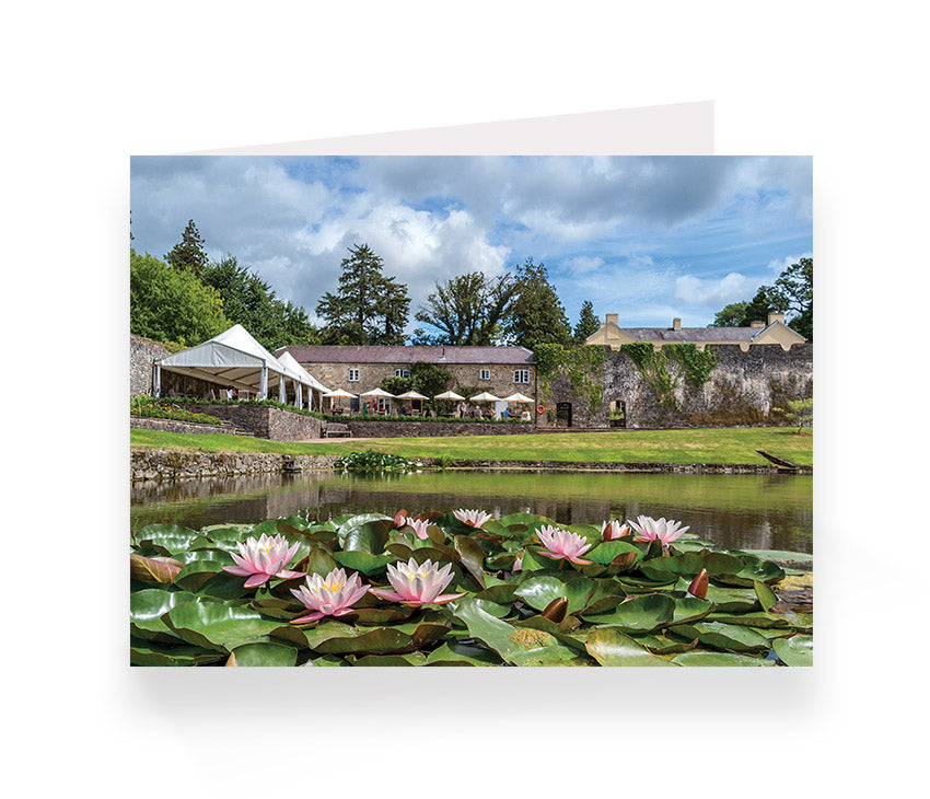Aberglasney Cards Pack 2 - 10 pack