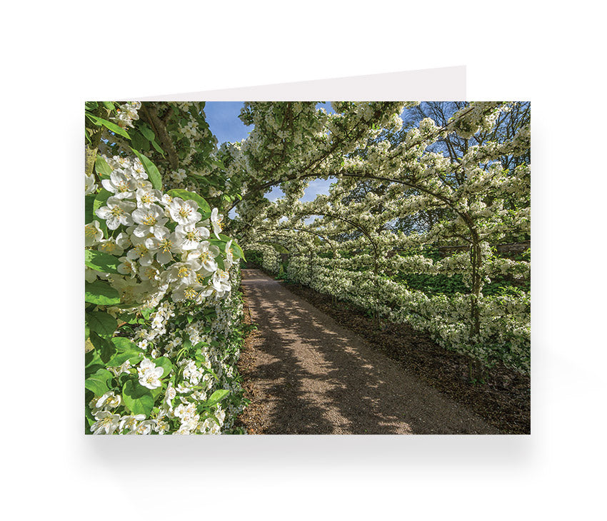 Aberglasney Cards Pack 2 - 10 pack