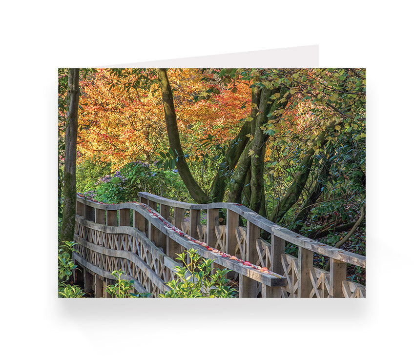 Aberglasney Cards Pack 1 - 10 pack