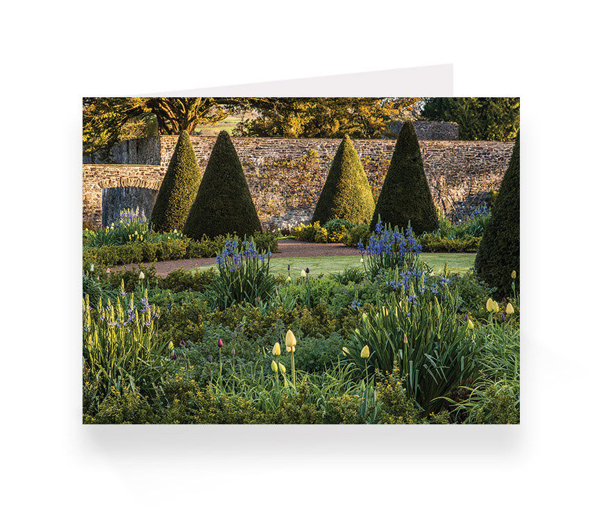 Aberglasney Cards Pack 1 - 10 pack