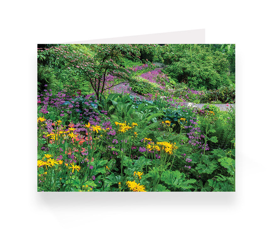 Aberglasney Cards Pack 1 - 10 pack