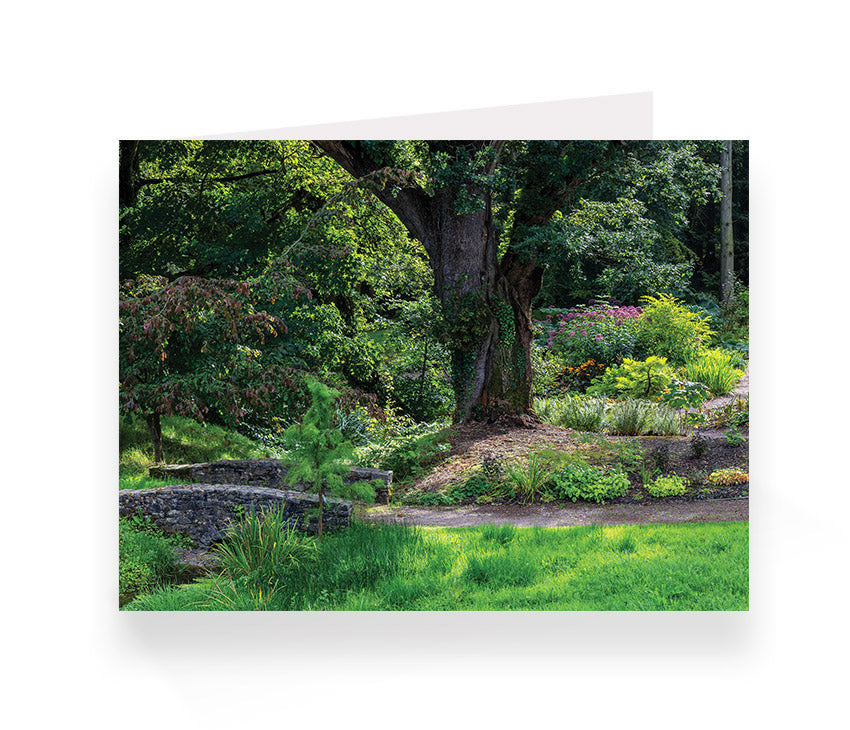 Aberglasney Cards Pack 1 - 10 pack