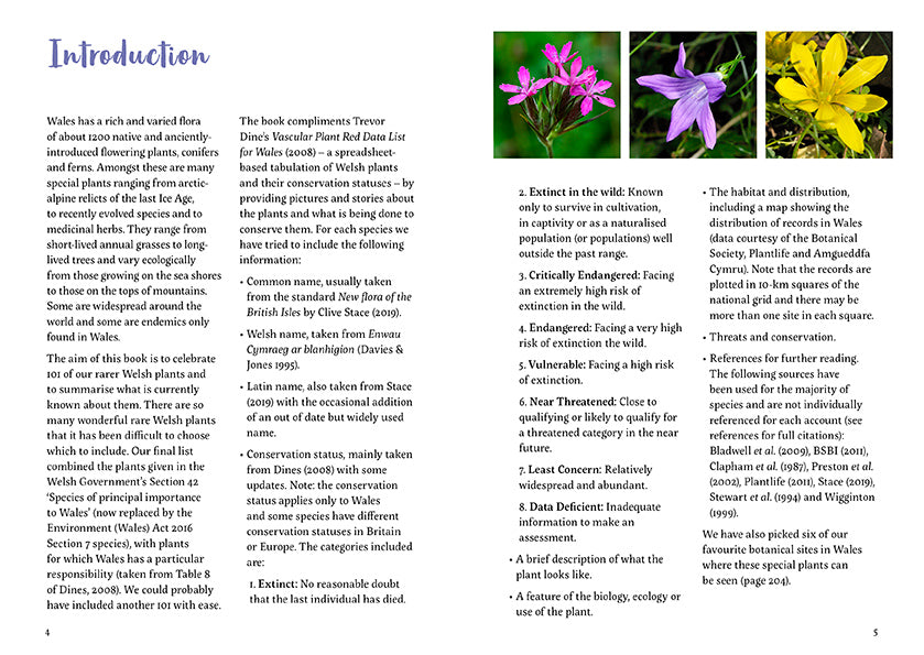 101 rare plants of wales by Tim Rich and Lauren Marrinan published by Graffeg in conjunction with Amgueddfa Cymru, National Museum Wales