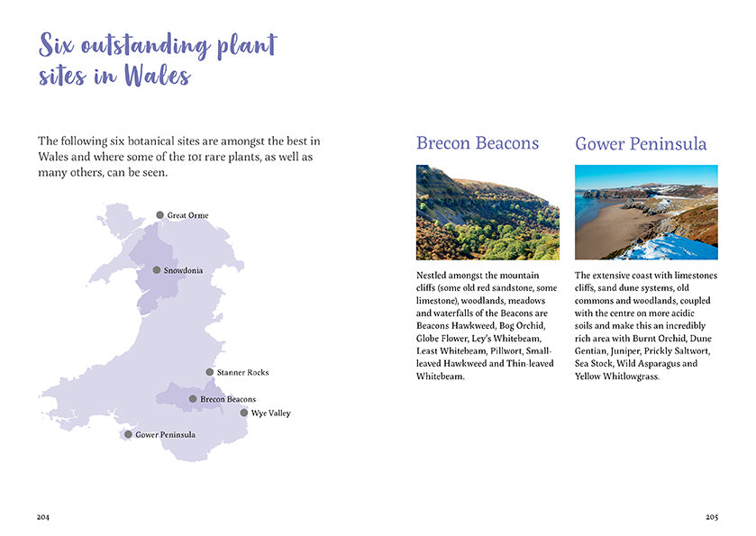 101 rare plants of wales by Tim Rich and Lauren Marrinan published by Graffeg in conjunction with Amgueddfa Cymru, National Museum Wales