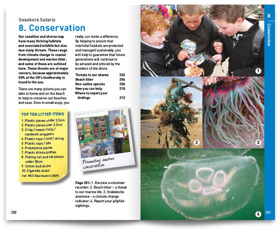 Seashore Safaris
