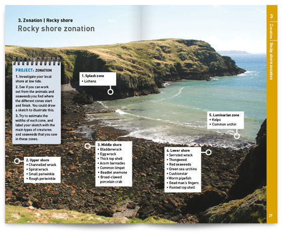 Seashore Safaris