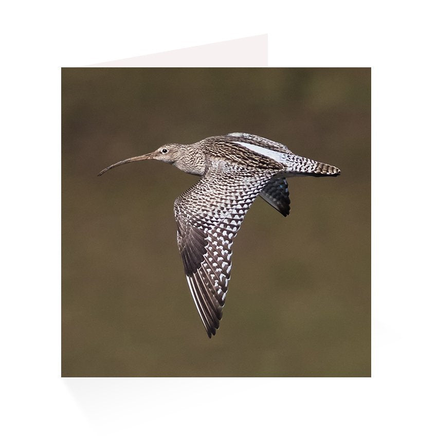 Upland Greetings Card Pack