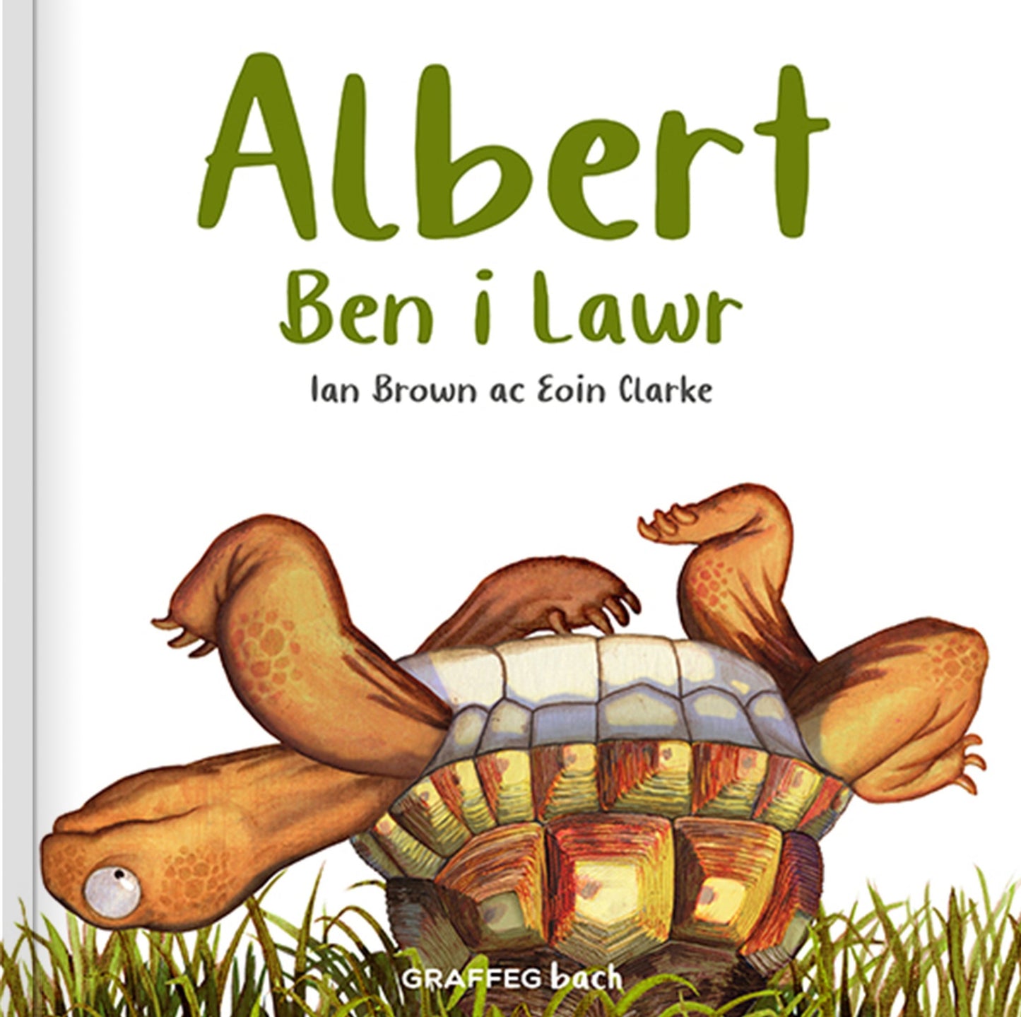 Albert Ben i Lawr