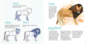 Animal Surprises How to Draw Nicola Davies Abbie Cameron published by Graffeg lion