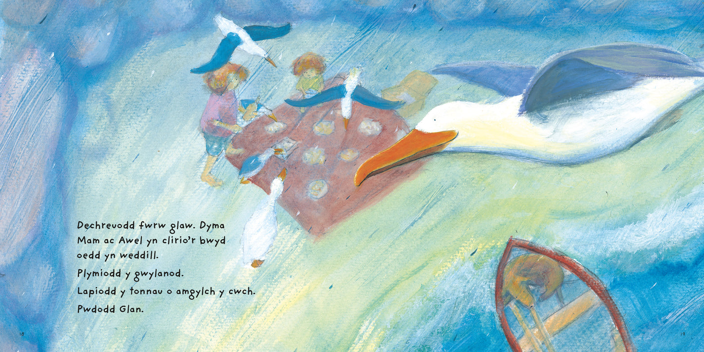 Awel a Glan a'r Picnic Coll