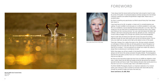 British Wildlife Photography Awards 11
