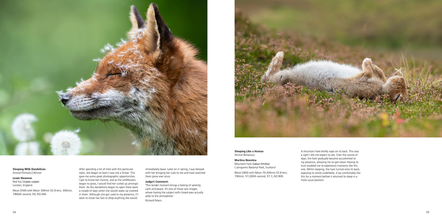 British Wildlife Photography Awards 11