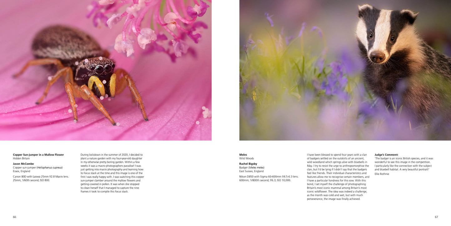 British Wildlife Photography Awards 11