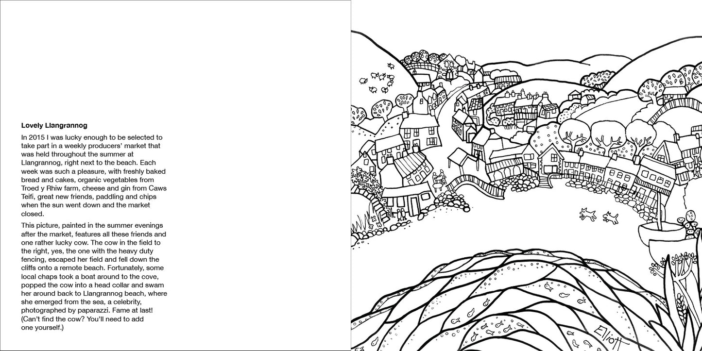 Helen Elliott Beach Life Colouring Book, published by Graffeg, Llangrannog