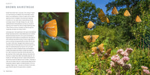 Load image into Gallery viewer, Butterfly Safari
