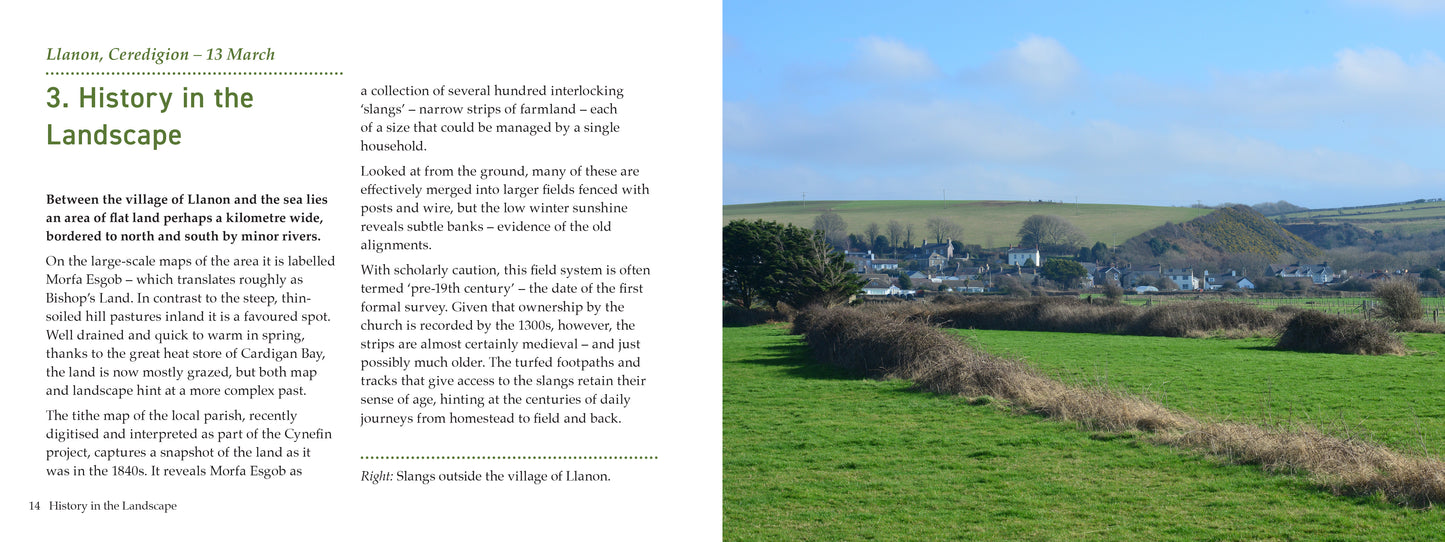Country Diary Wales