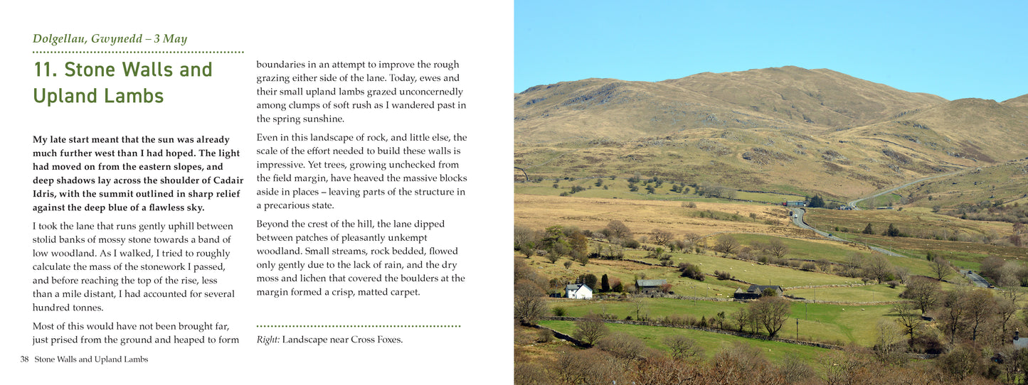 Country Diary Wales