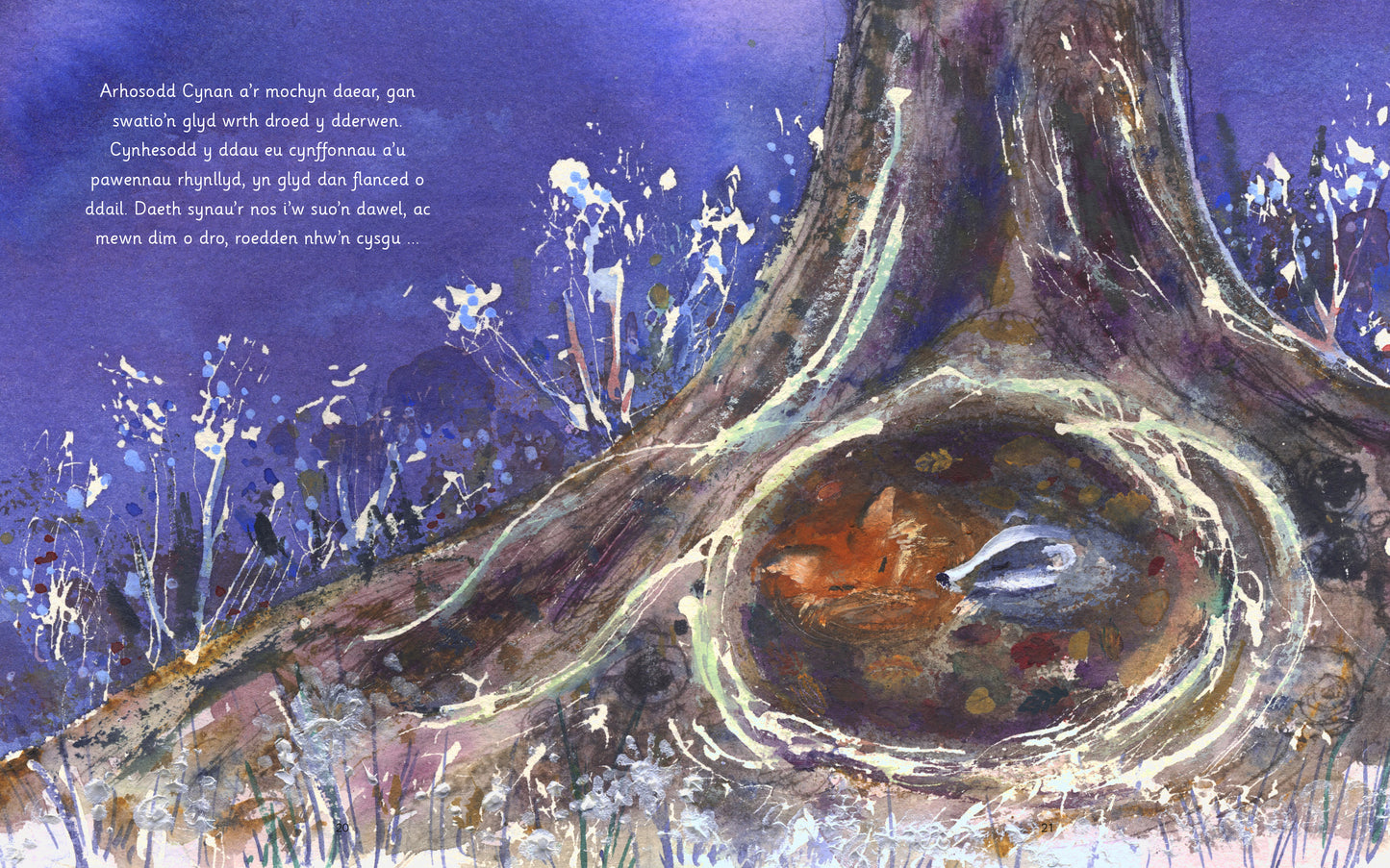 Cynan a'r Ser Fletcher and the Stars Welsh picture book spread published by Graffeg