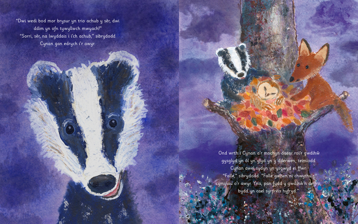 Cynan a'r Ser Fletcher and the Stars Welsh picture book spread published by Graffeg