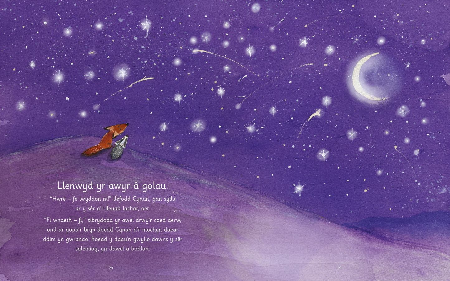 Cynan a'r Ser Fletcher and the Stars Welsh picture book spread published by Graffeg