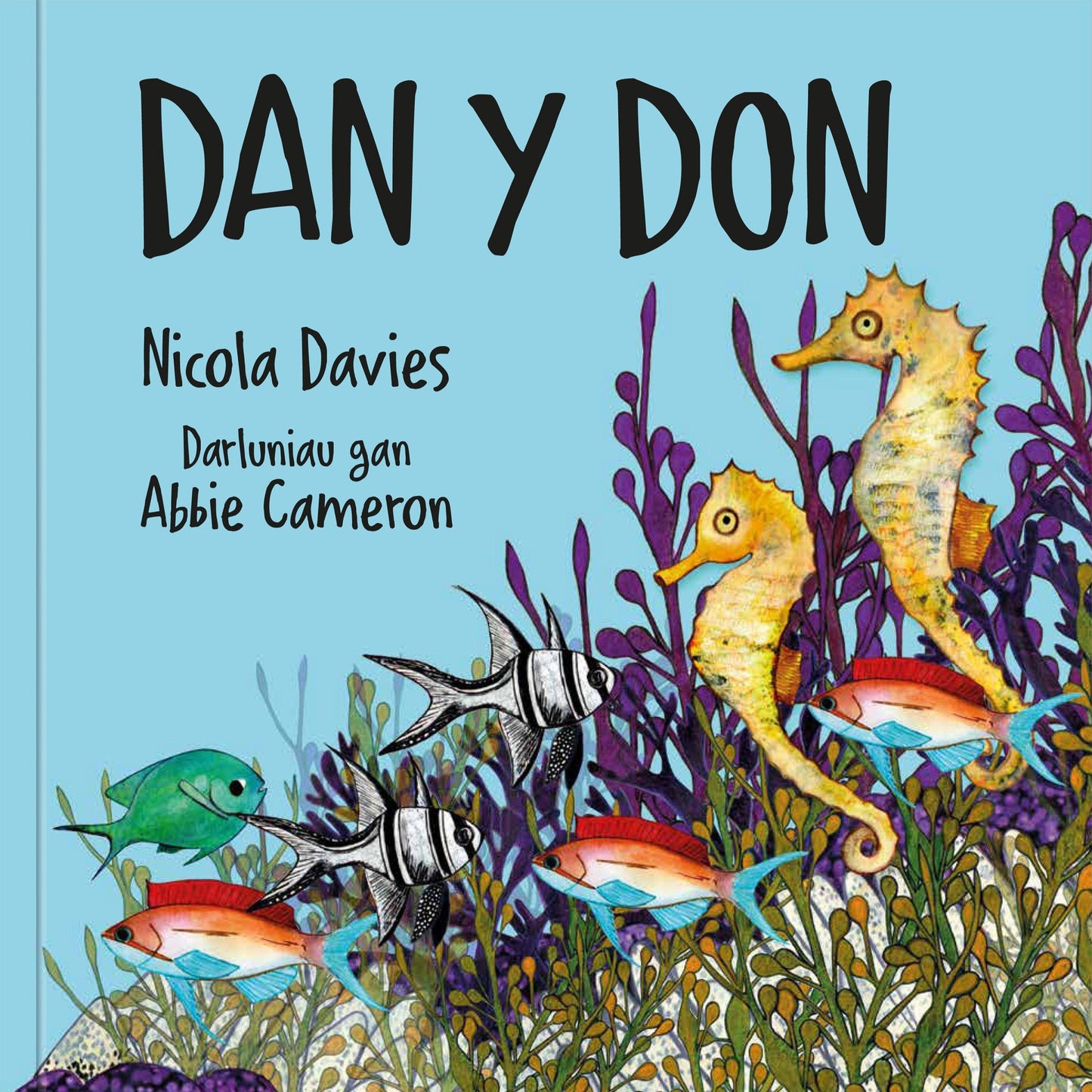 Dan y Don
