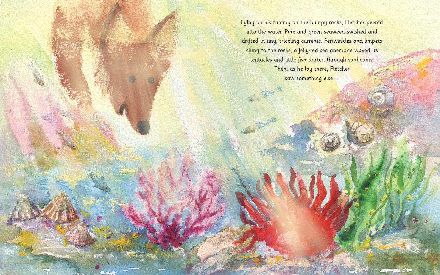 Fletcher and the Rockpool