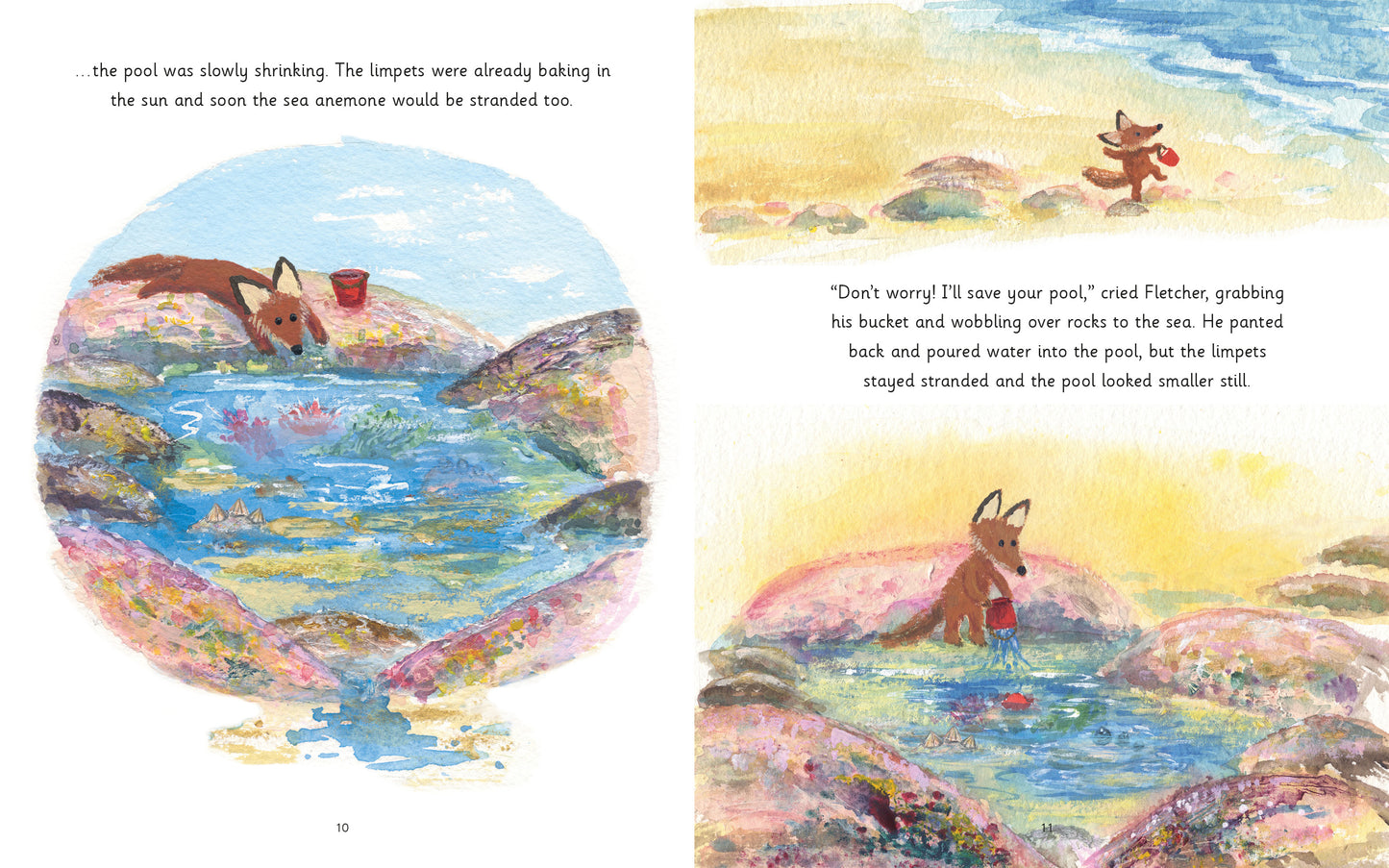 Fletcher and the Rockpool
