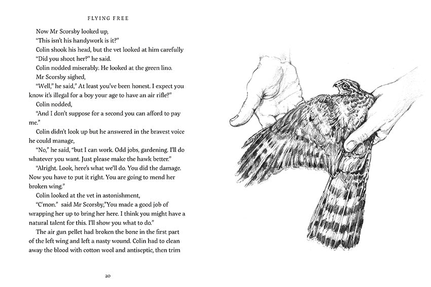 Flying Free by Nicola Davies illustrated by Cathy Fisher published by Graffeg, part of the Country Tales series