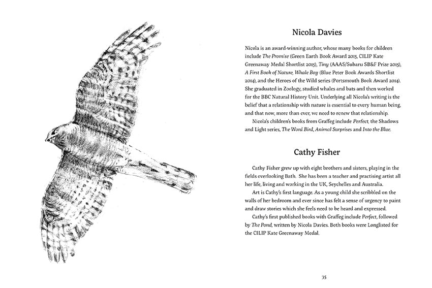 Flying Free by Nicola Davies illustrated by Cathy Fisher published by Graffeg, part of the Country Tales series