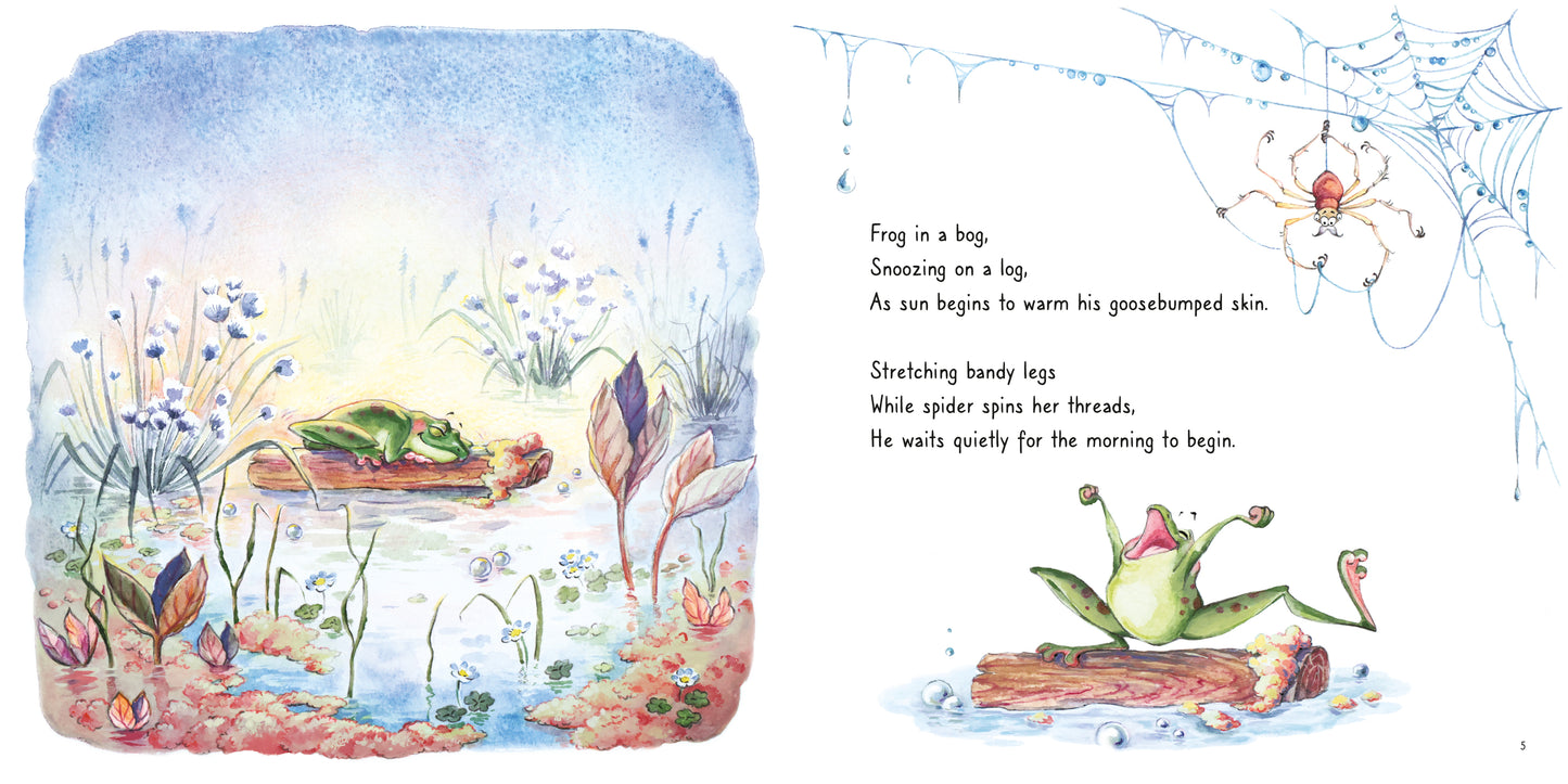 Frog's Bog