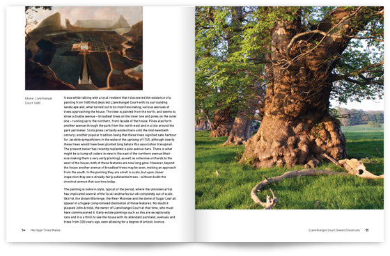 Heritage Trees Wales