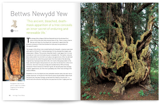 Heritage Trees Wales